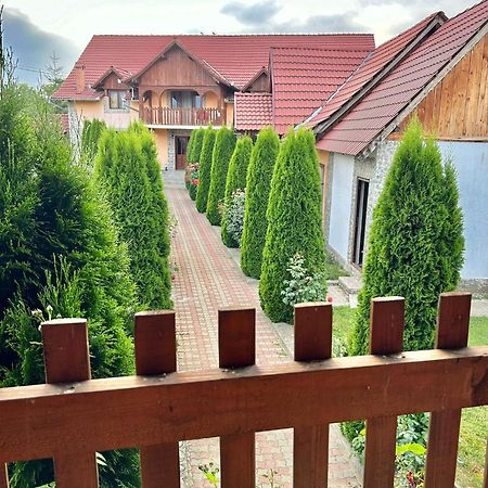 Pensiunea Casa Nina Cîrţişoara Esterno foto