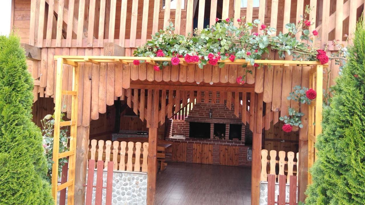 Pensiunea Casa Nina Cîrţişoara Esterno foto