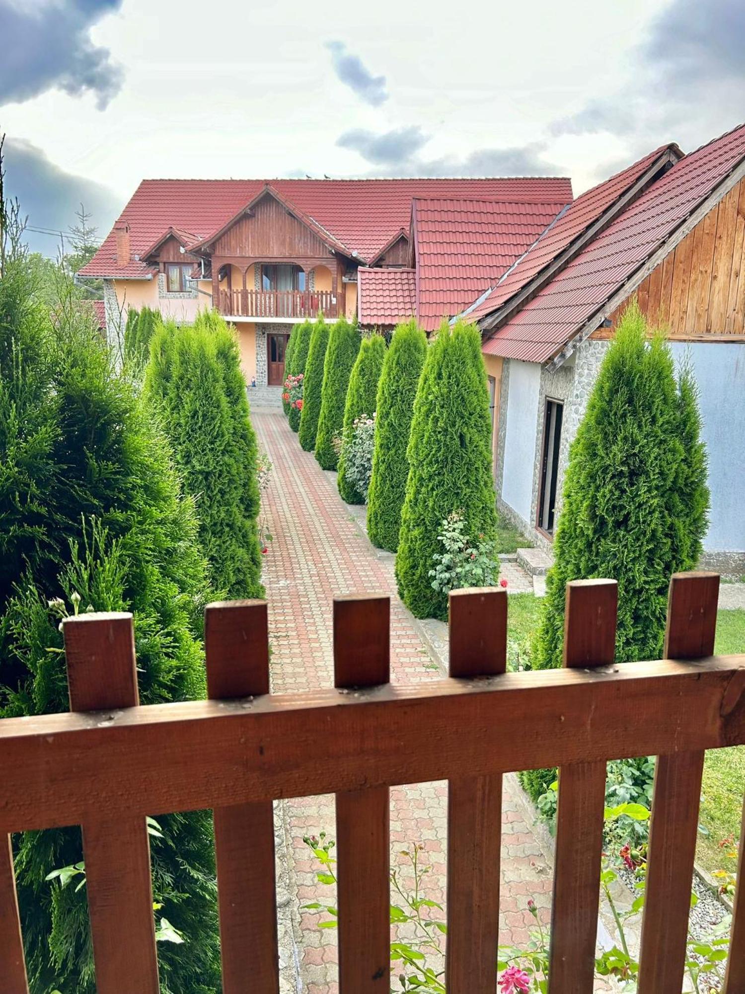 Pensiunea Casa Nina Cîrţişoara Esterno foto