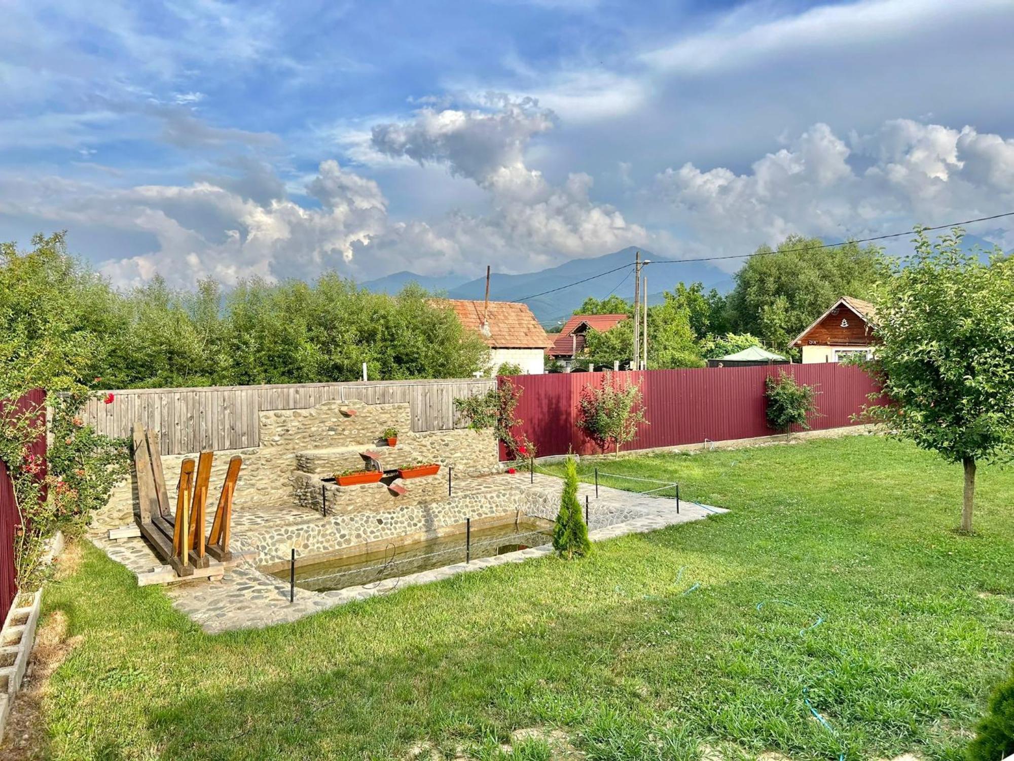 Pensiunea Casa Nina Cîrţişoara Esterno foto