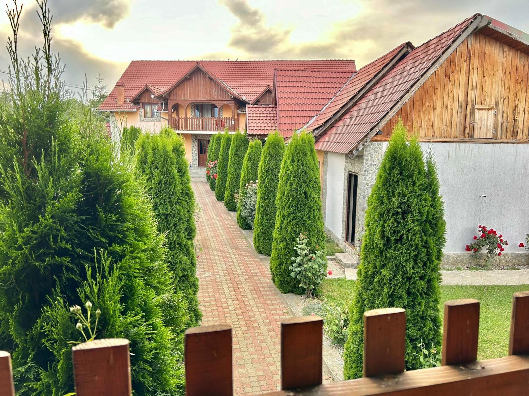 Pensiunea Casa Nina Cîrţişoara Esterno foto