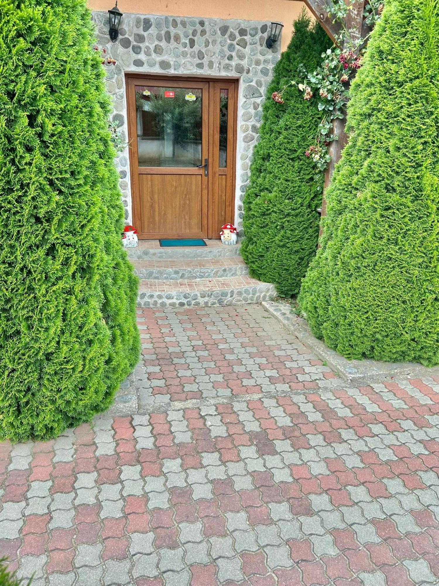 Pensiunea Casa Nina Cîrţişoara Esterno foto