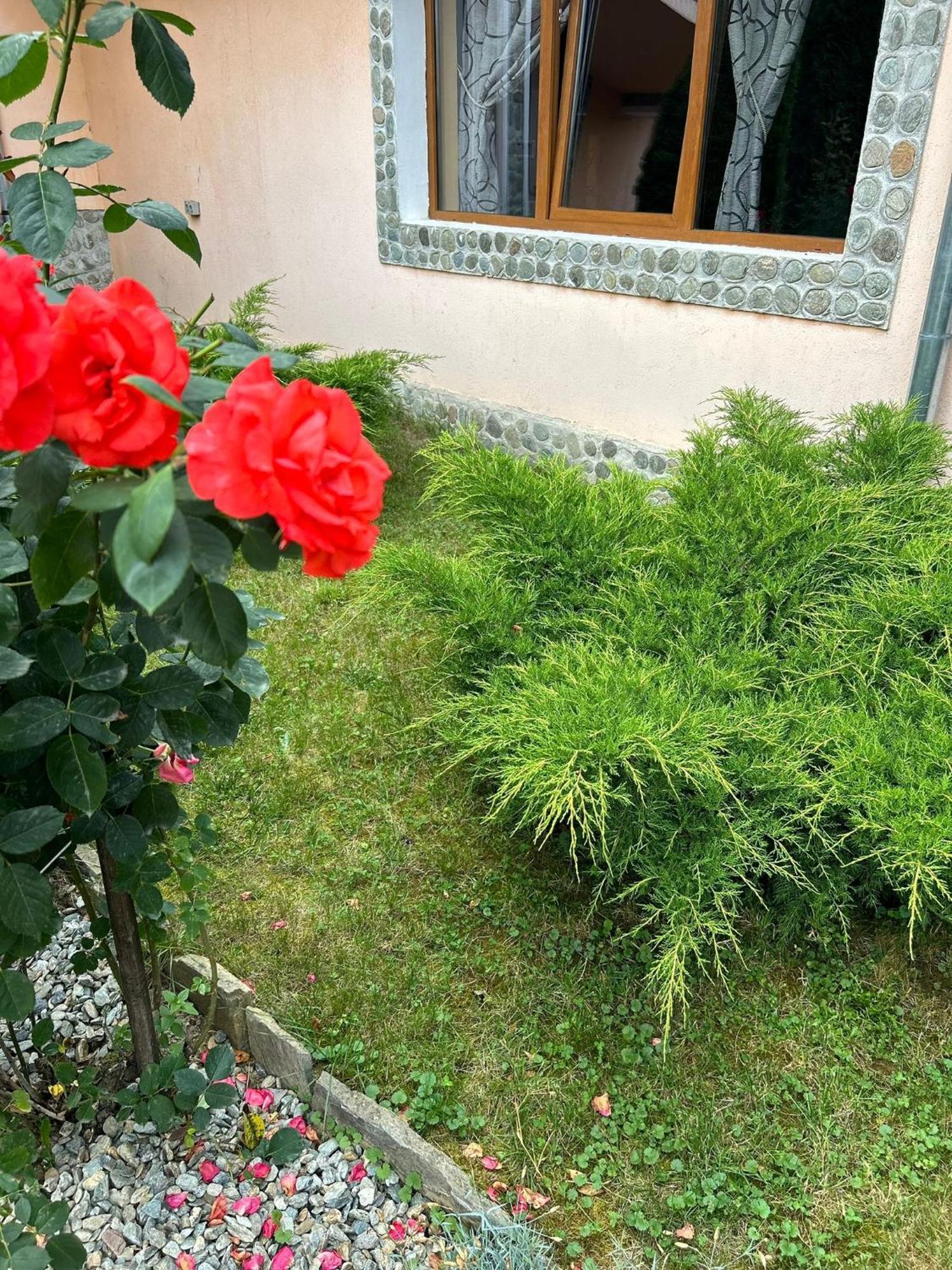 Pensiunea Casa Nina Cîrţişoara Esterno foto