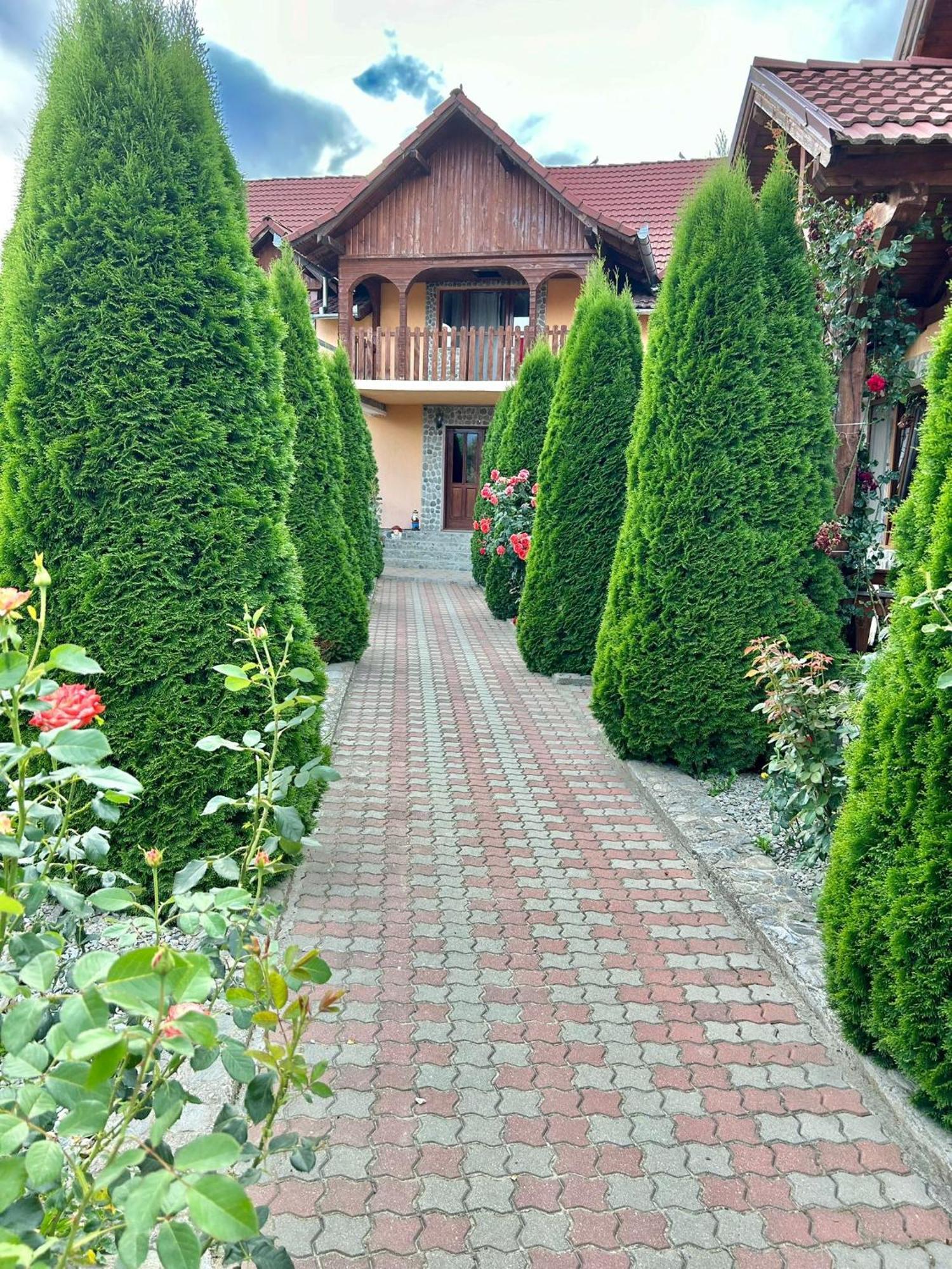 Pensiunea Casa Nina Cîrţişoara Esterno foto