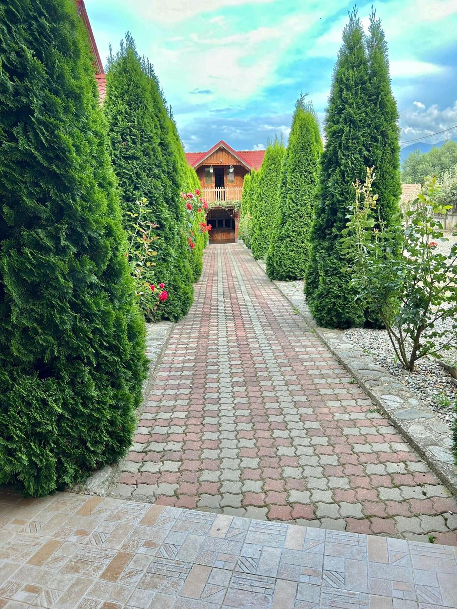 Pensiunea Casa Nina Cîrţişoara Esterno foto